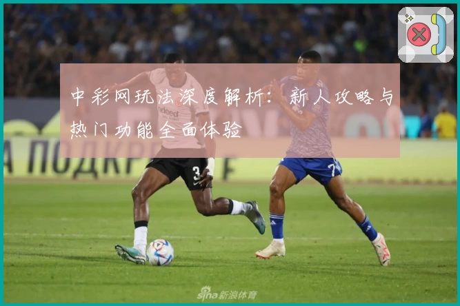 中彩网玩法深度解析：新人攻略与热门功能全面体验