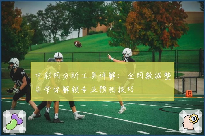 中彩网分析工具详解：全网数据整合带你解锁专业预测技巧