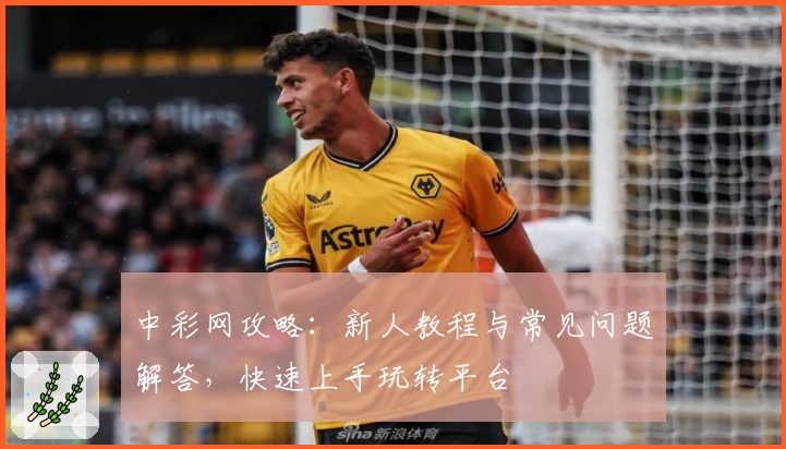 中彩网攻略：新人教程与常见问题解答，快速上手玩转平台