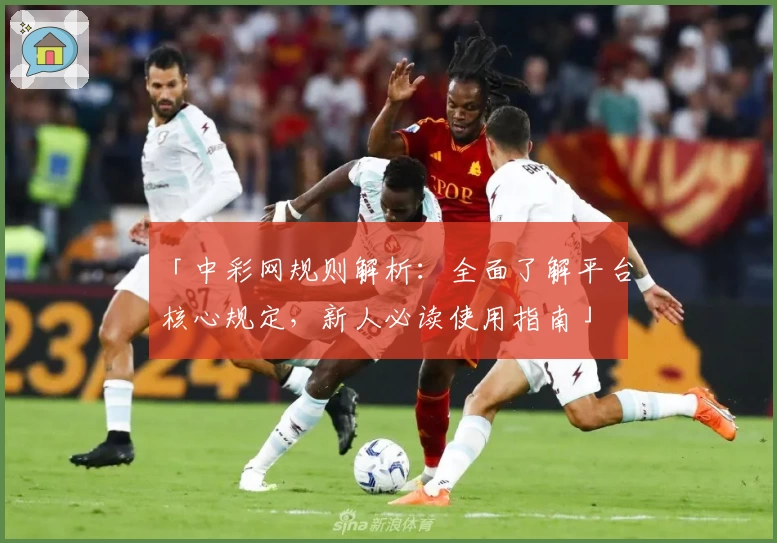 「中彩网规则解析：全面了解平台核心规定，新人必读使用指南」