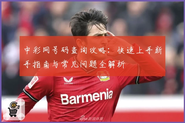 中彩网号码查询攻略：快速上手新手指南与常见问题全解析
