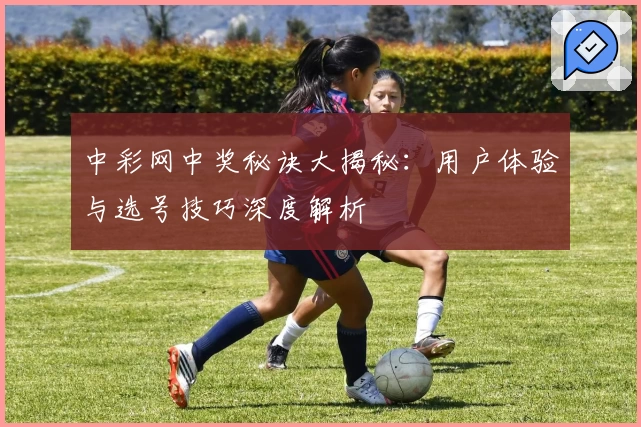 中彩网中奖秘诀大揭秘：用户体验与选号技巧深度解析