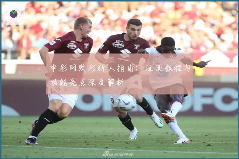 中彩网购彩新人指南：注册教程与功能亮点深度解析