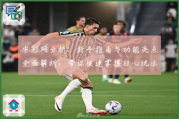 中彩网分析：新手指南与功能亮点全面解析，带你快速掌握核心玩法技巧
