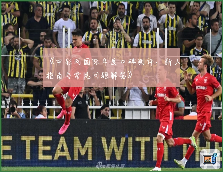 《中彩网国际年度口碑测评，新人指南与常见问题解答》